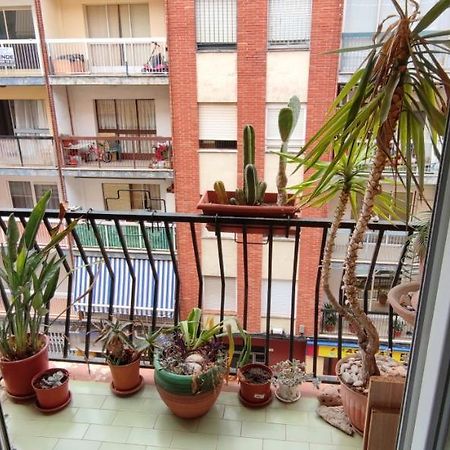 Dormitorios Piso 甘迪亚 外观 照片